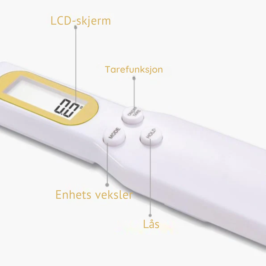 Elektronisk målskje