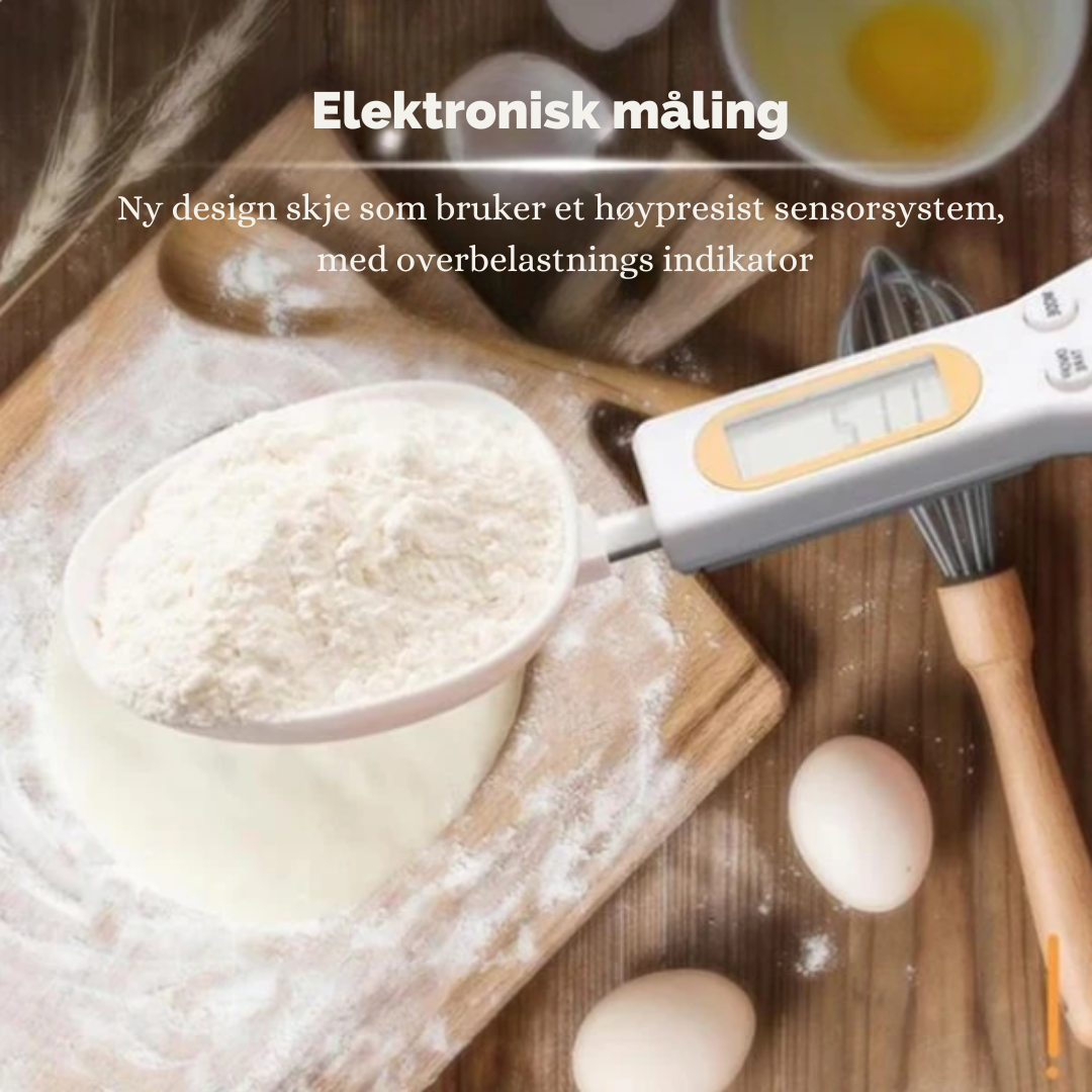 Elektronisk målskje